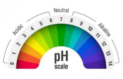 Cách điều chỉnh độ pH cho hồ cá an toàn và hiệu quả